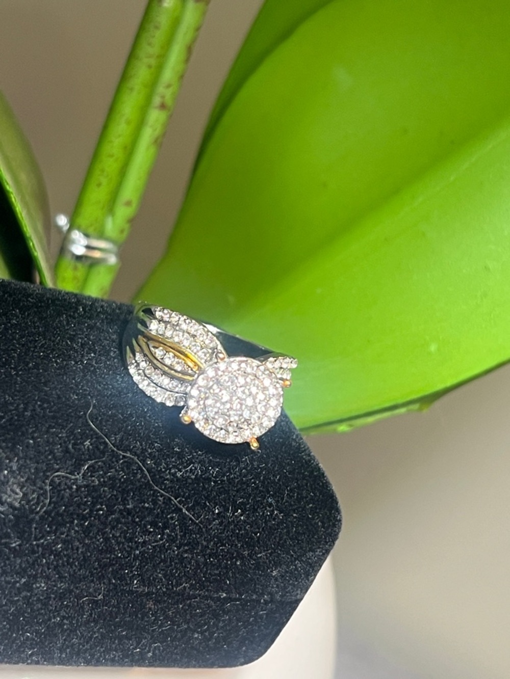 Sophicates Halo Gold Silver CZ Pave Ring